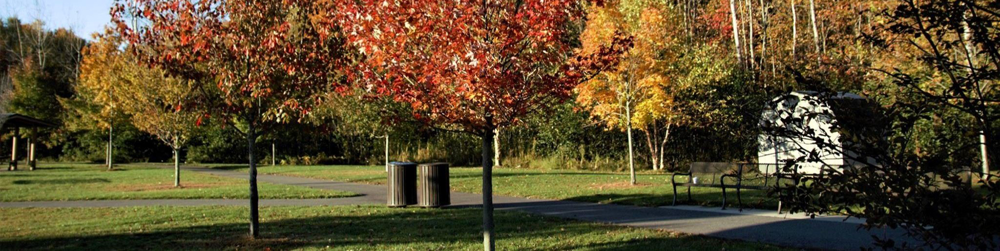 Park